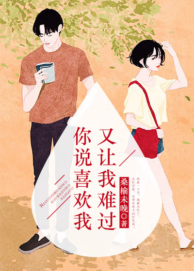你说喜欢我又让我难过 小说