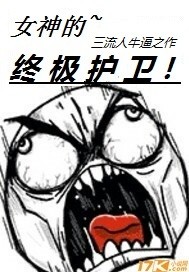 女神的终极护卫小说