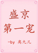 盛京第一宠txt