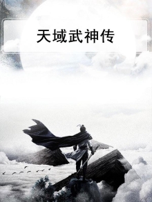 天域武神传