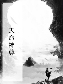 天命神尊全集