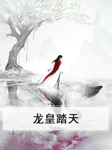 踏天龙皇全本