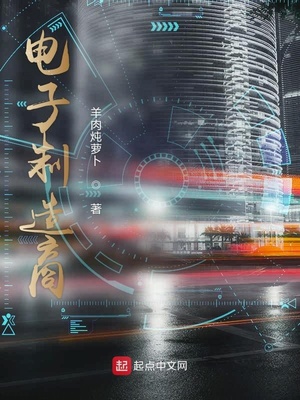 电子制造商小说下载