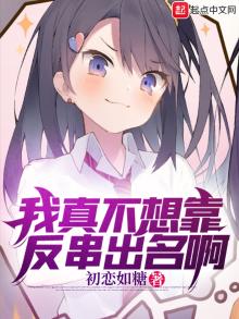 我真不想靠女装出名 小说