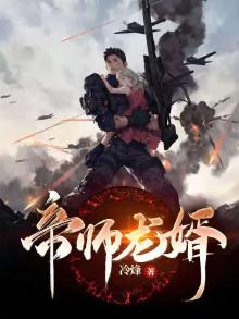 帝师龙婿100集电视观看