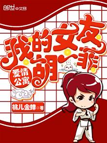 爱情公寓我的女友胡一菲肖晓