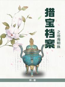 猎宝档案之沧海明珠好看吗