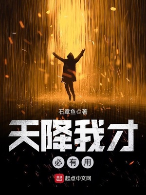 天降我才必有用小说百度百科
