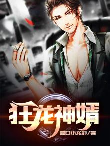 狂龙神婿百度网盘