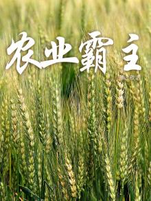 农业霸主系统