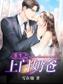 奶爸上门女婿