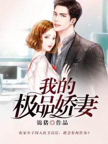 我的极品娇妻 锦猪小说