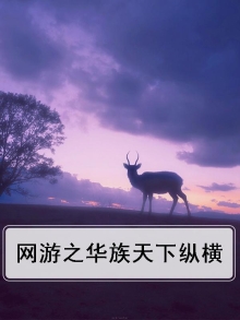 网游之纵横天下明宇