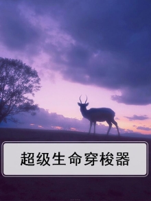 愿生命穿梭时间的角落