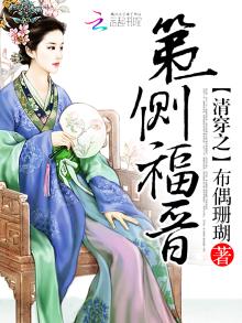 清穿之第一侧福晋txt