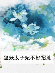 狐妖太子妃不好招惹百度云