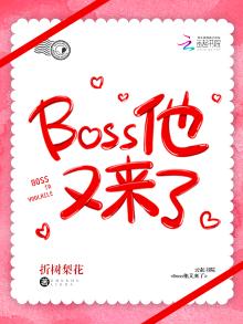 boss他又来了免费阅读