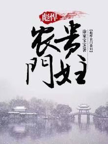 农门贵妇简介