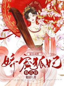 霸宠凤妃