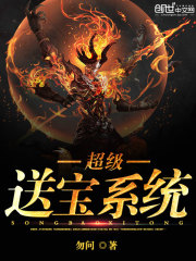 超级宝可梦系统