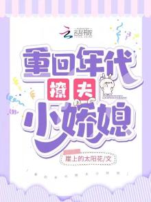重回年代小说