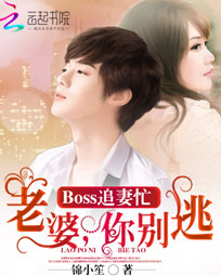 boss追妻进行中免费阅读