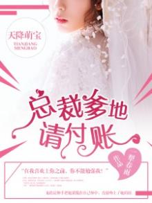 天降萌宝总裁爹地请付账