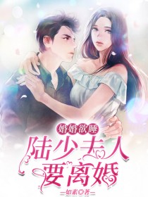 陆少,婚久情深全文免费阅读
