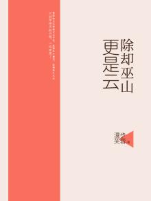 除却巫山非云也这首诗