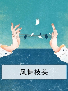 凤舞的意思