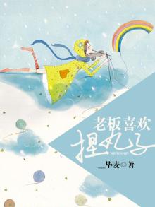 代练丸子老板是谁