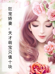 天才萌宝独宠天价娇妻