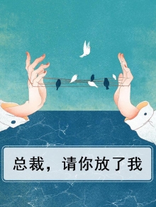 总裁，请你放了我