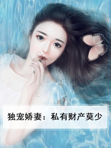 私家独宠阅读