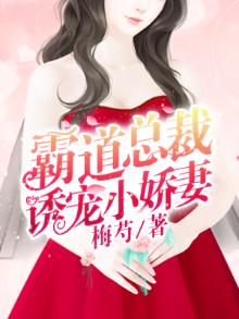 霸道总裁小娇妻小说