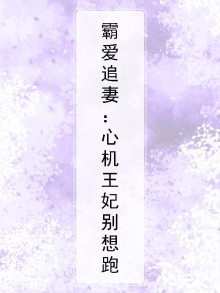 霸爱追妻：心机王妃别想跑