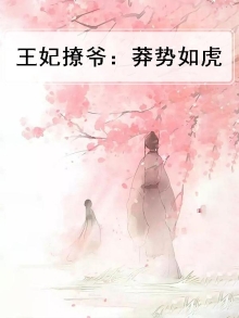 王妃撩爷：莽势如虎