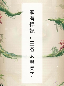 小说家有悍妃
