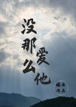 没那么爱他小说讲的什么