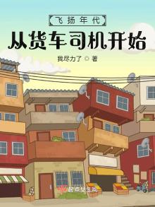 飞扬年代从货车司机开始免费阅读