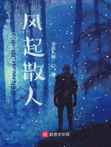 全职高手之散人巅峰