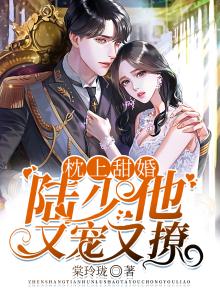 枕上甜婚:陆少他又宠又撩小说