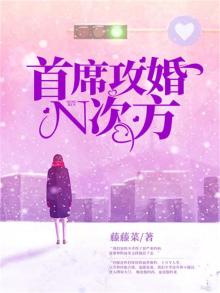 首席老公,先婚后爱免费阅读全文