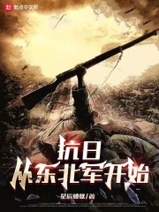 抗战从东北王到