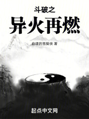 斗破之异火再燃作者雁过刘千痕小说