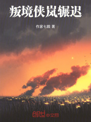 叛境侠岚辗迟小说在线阅读
