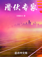 潜伏人员介绍