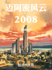 迈阿密风云2008小说
