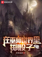 在巫师世界里掷骰子小说