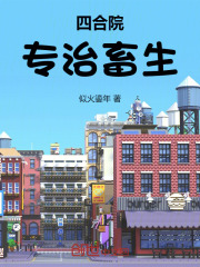 四合院:小说